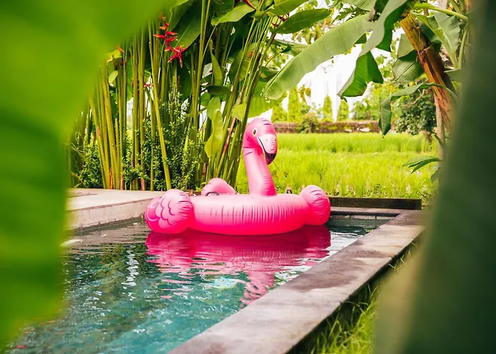 Vakantiehuis Wander Havens